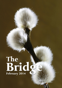 The Bridge - February 2014