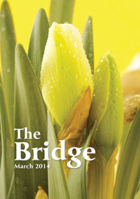 The Bridge - March 2014