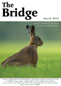 The Bridge - March 2018