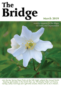 The Bridge - March 2019