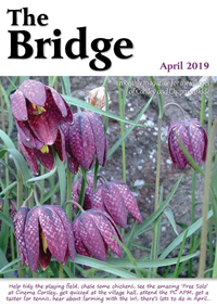 The Bridge - April 2019
