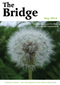 The Bridge - May 2014