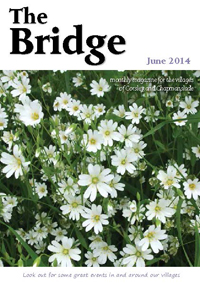 The Bridge - June 2014