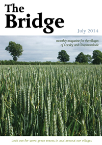 The Bridge - July 2014