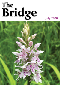 The Bridge - July 2020