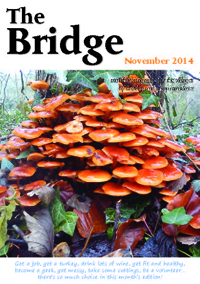The Bridge - November 2014