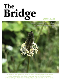 The Bridge - June 2026