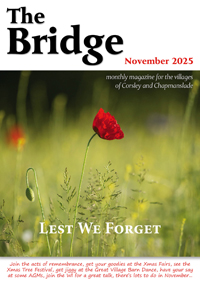 The Bridge - November 2025